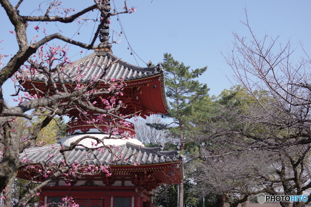 川越大師喜多院　多宝塔