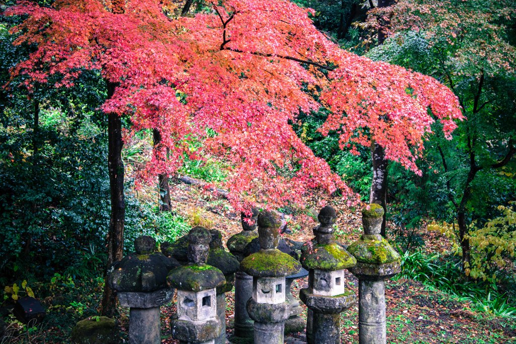 妙義神社の紅葉