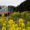 春のスイカ列車