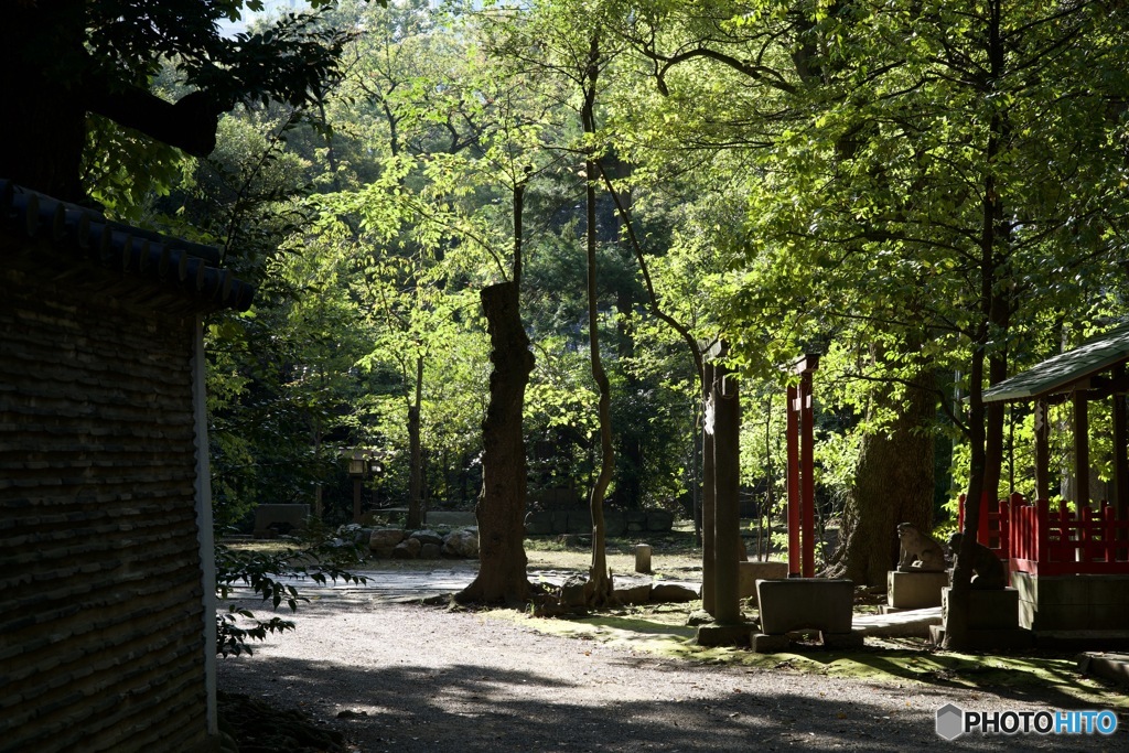 赤坂氷川神社　境内