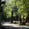 赤坂氷川神社　境内