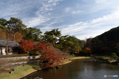 平成最後の紅葉