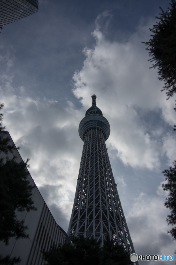 空の塔