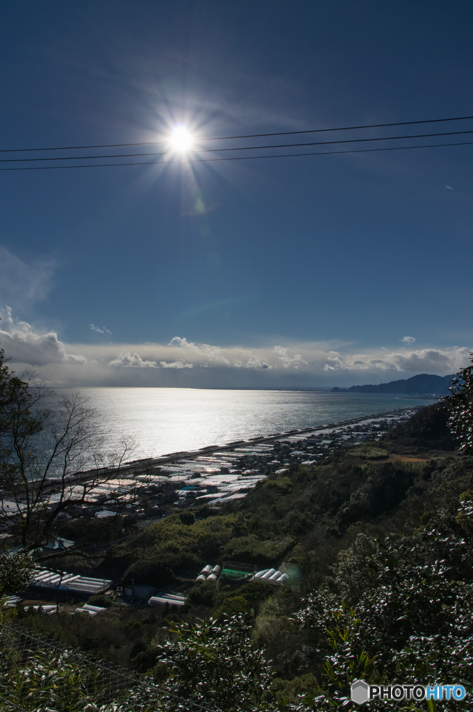 駿河湾