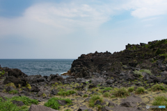 城ヶ崎海岸　その３