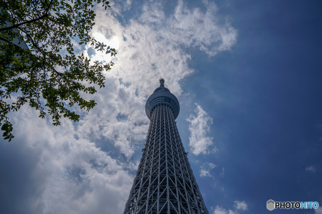 晴空塔 