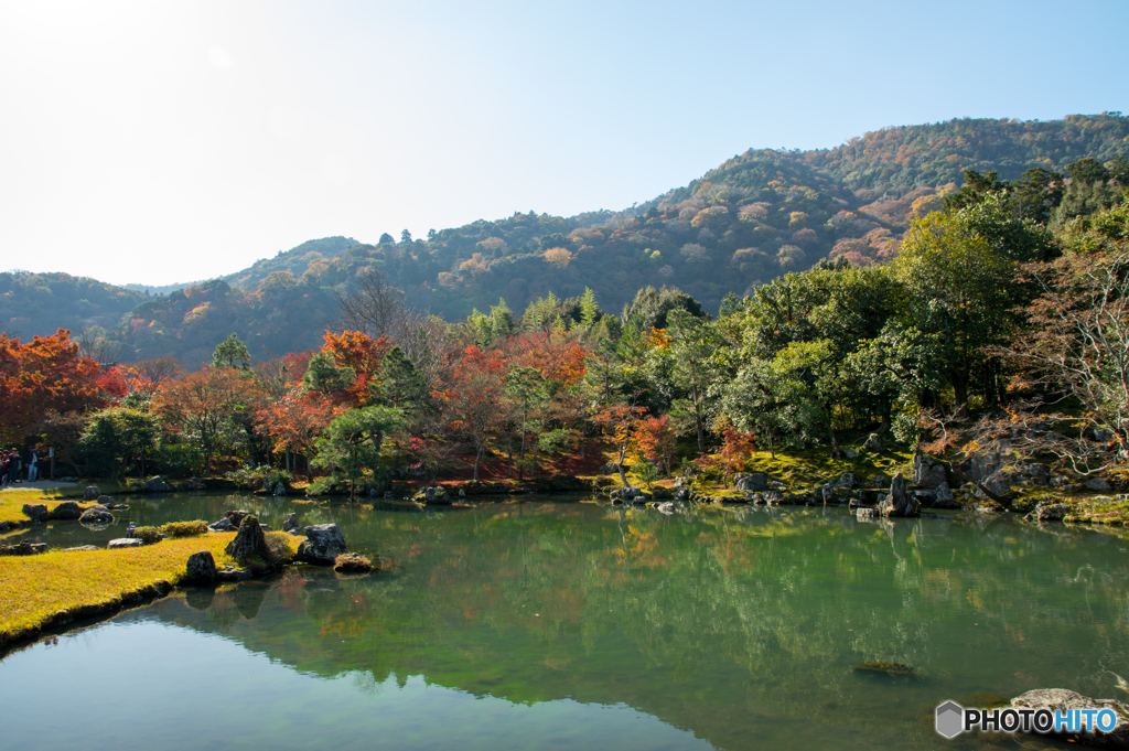 天龍寺　庭園