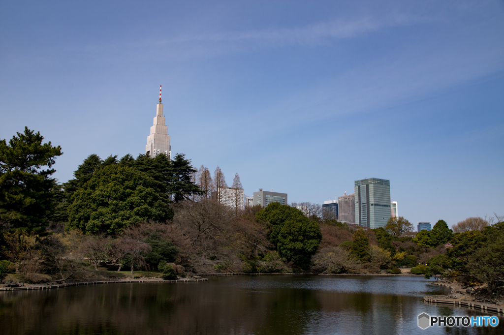 都市と公園