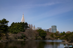都市と公園