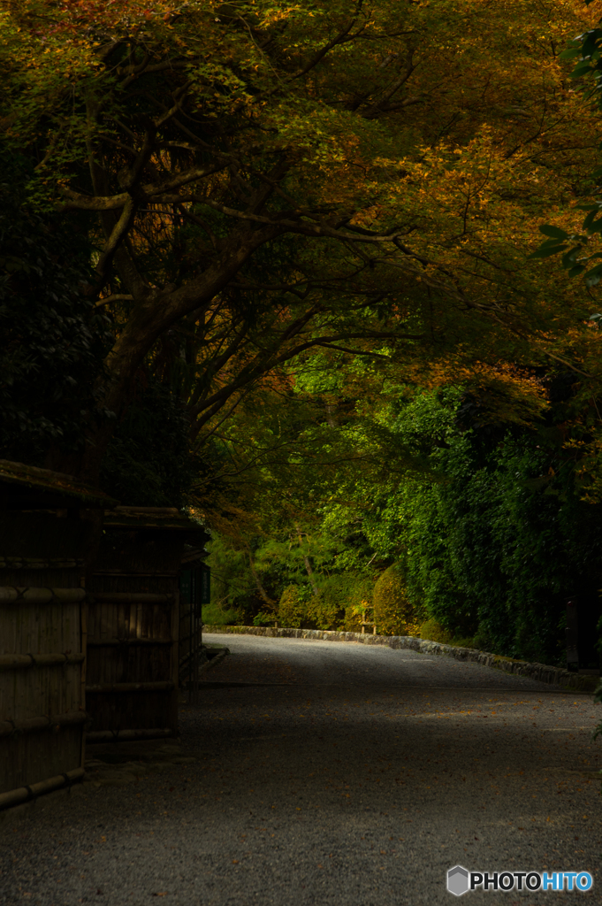龍安寺の参道