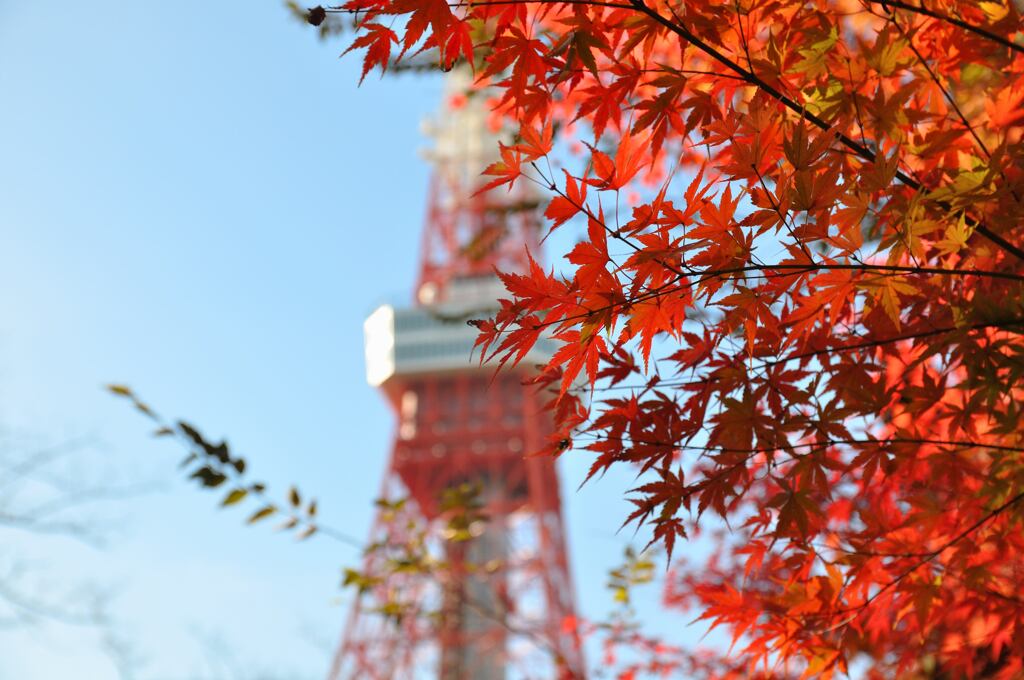 紅の響宴