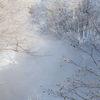 厳寒