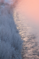 霧氷