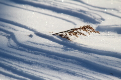 雪面模様
