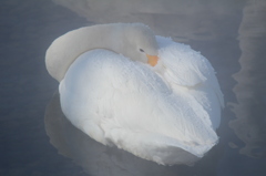 寒いし眠いし