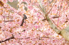 公園にて