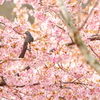 公園にて