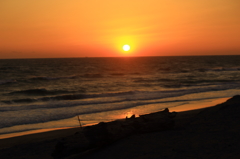 夕焼けと流木