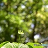 太陽を感じて