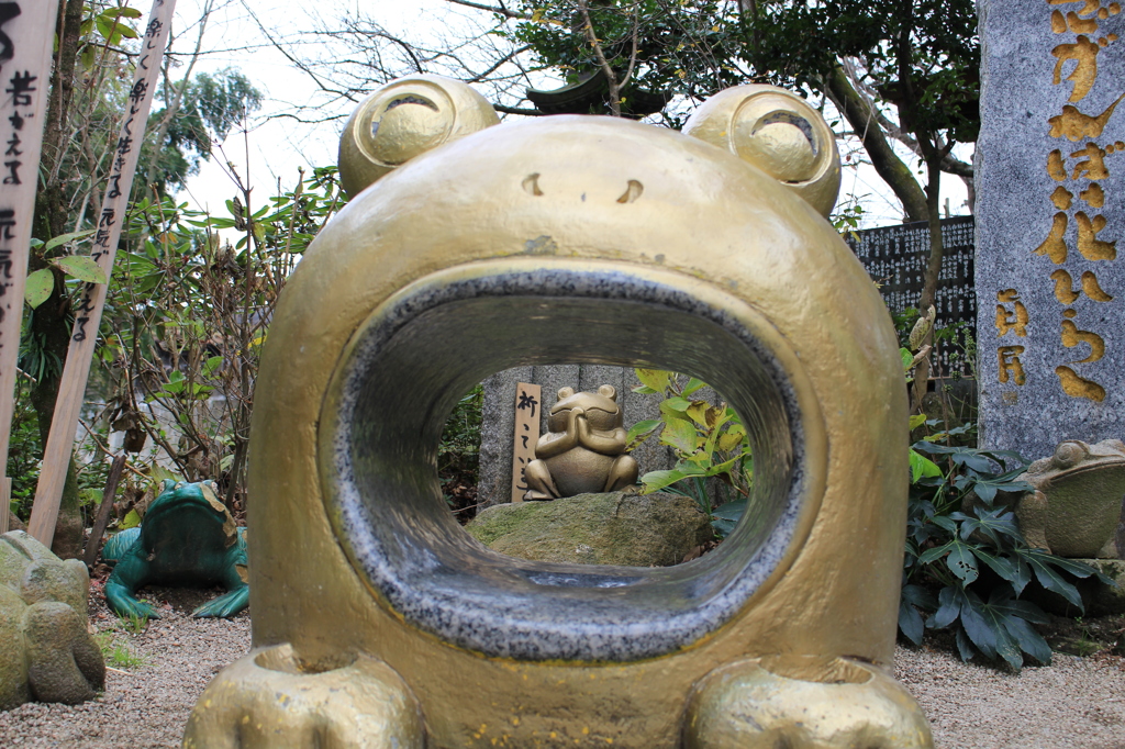 カエル