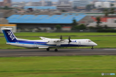 宮崎空港にて