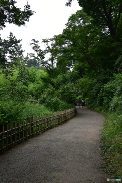 三渓園