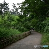 三渓園