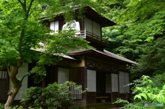 三渓園