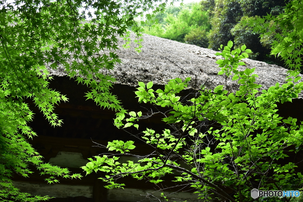 三渓園
