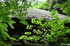 三渓園