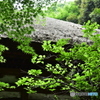 三渓園