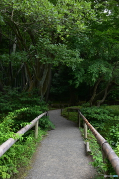三渓園