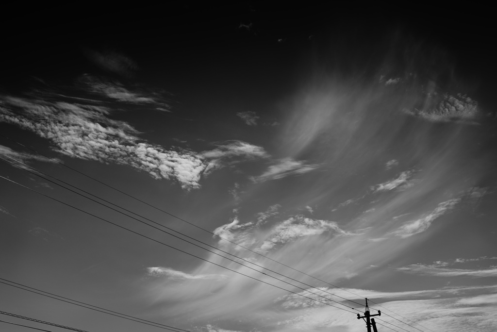 旅の空