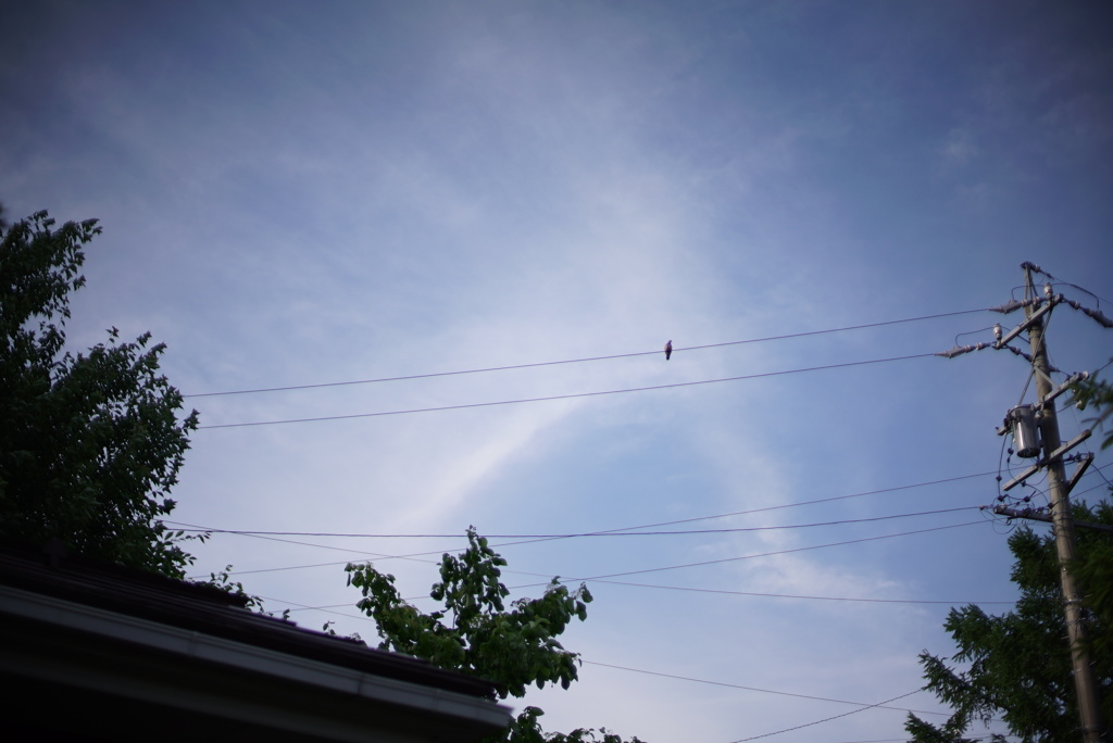 あの夏の思い出 7