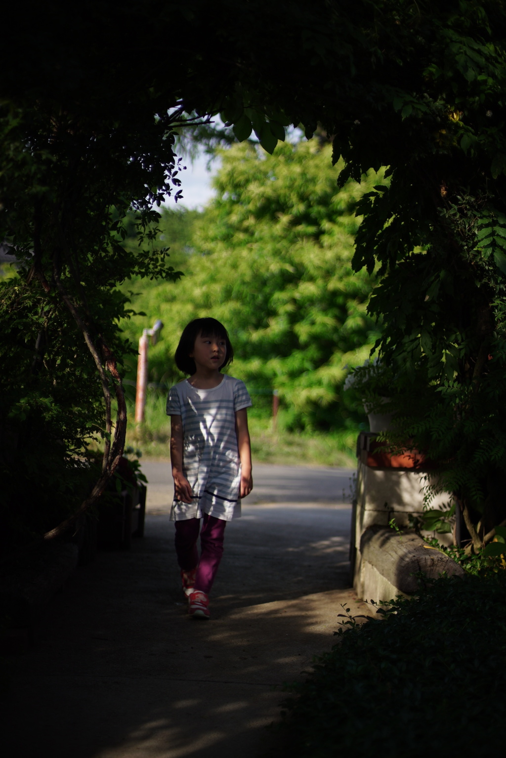 あの夏の思い出 2