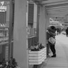 愛情。