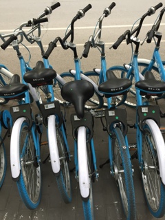 乗り方が難しそうだ。