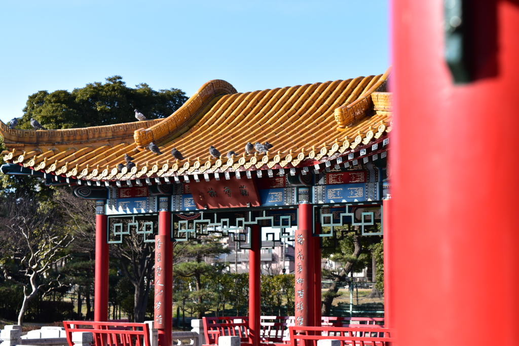 川崎　大師公園　瀋秀園