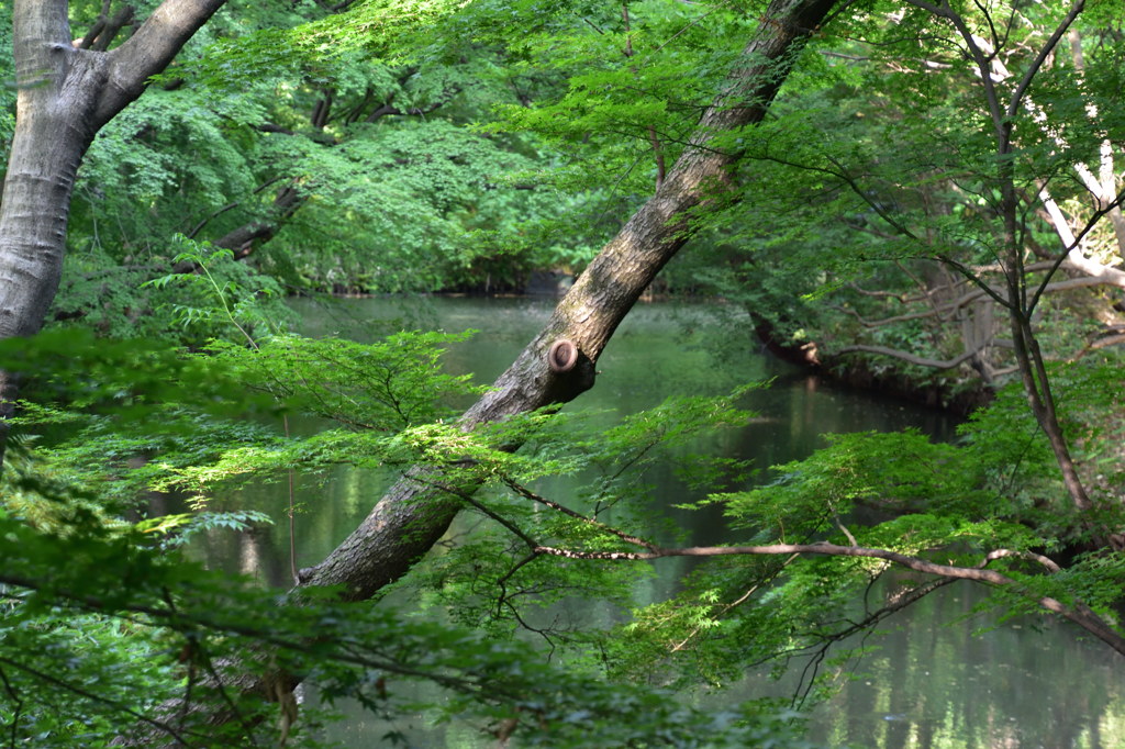 六義園