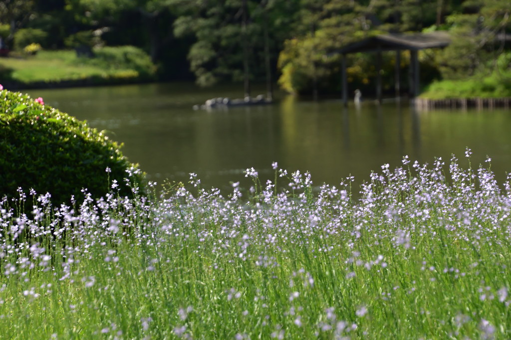 六義園