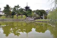 奈良　猿沢池　五重塔