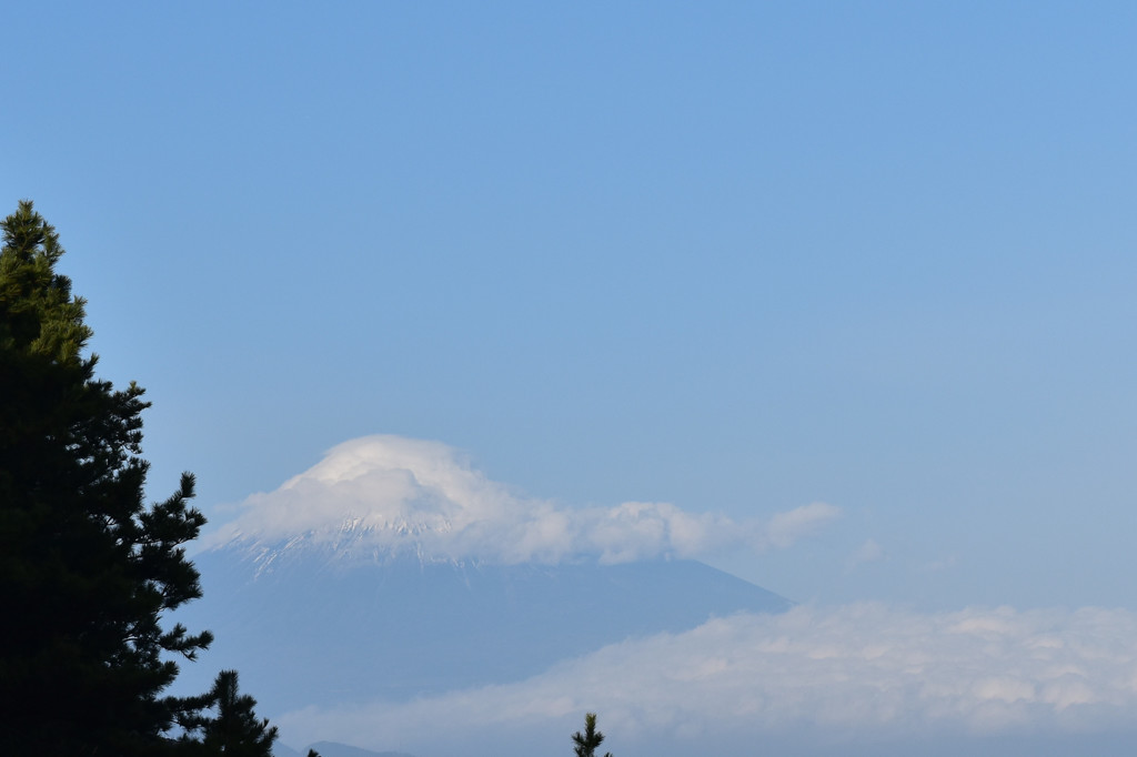 富士山　三保の松原