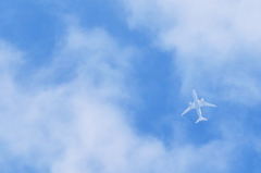 空高く