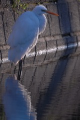 朝食待ち