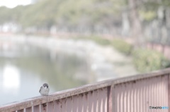 ３連休中日