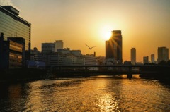 夕日