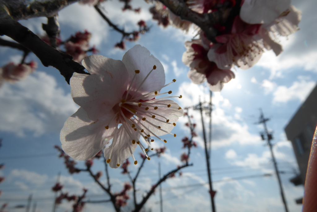 最高に最悪