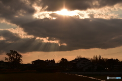 降り注ぐ夕日