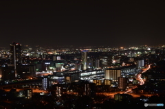 花岡山から熊本市内の夜景