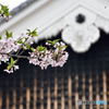 葉桜と櫓